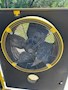 Fan.jpg
