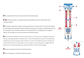 Operating Principle of DRYPOINT® M Plus Membrane Dryers